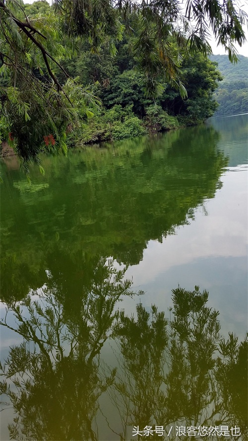 国家级AAAAA景区——广州市白云山风景名胜区，简约之美