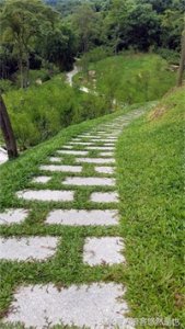 ​国家级AAAAA景区——广州市白云山风景名胜区，简约之美