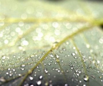 ​克太岁是什么意思2022怎么破解（拜太岁的最佳时间）