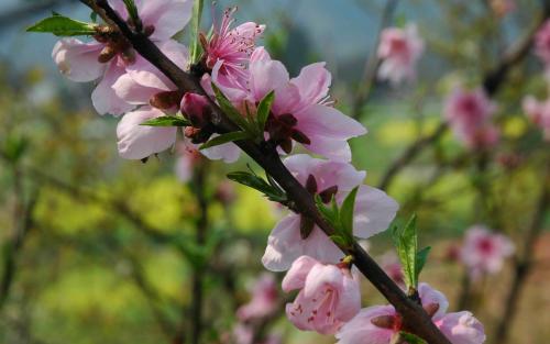 克太岁是什么意思2022怎么破解（拜太岁的最佳时间）