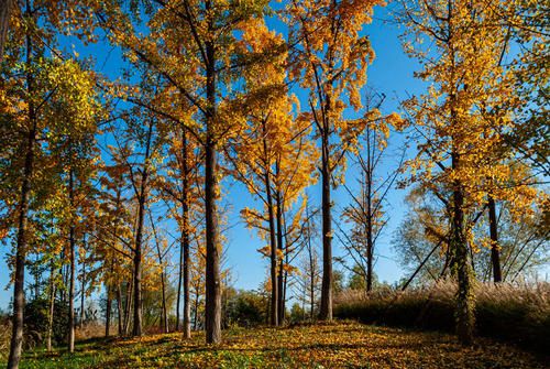 克太岁是什么意思2022怎么破解（拜太岁的最佳时间）