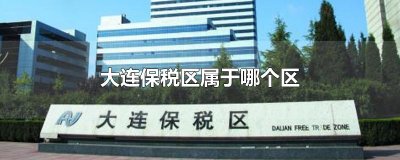 ​大连保税区属于哪个区