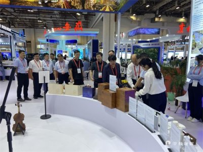 ​高新区硬核产品“盐灯”亮相投洽会