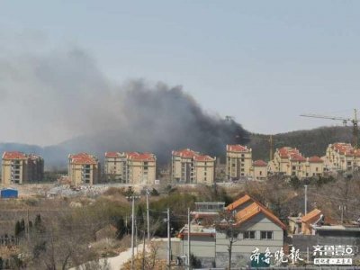 ​即墨发生山火，浓烟几公里远可见，一小时后扑灭