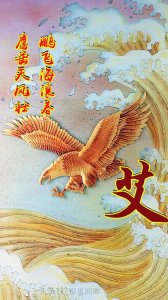 ​雄鹰展翅鹏程万里志无穷