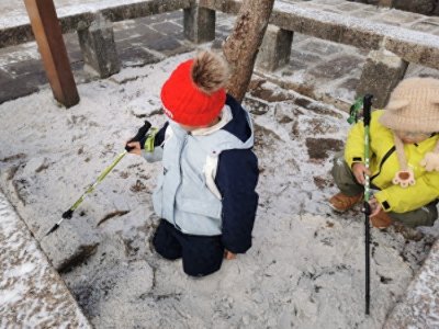 ​3小时普降零星小雪！黄山风景区迎来2025年首场降雪