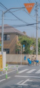 ​【无水印壁纸】日系唯美樱花（第133期）