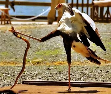 ​活久见的22张照片，可以帮你扫光一天的疲惫与沮丧