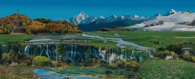 ​净土精灵——鹤鹬