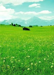 ​福州市高中最新排行榜