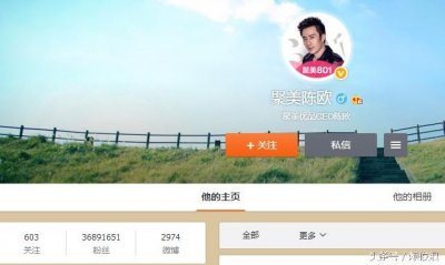 ​新浪微博粉丝最多的人原来是他，排行榜前八名没有李彦宏马化腾？