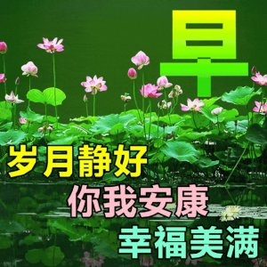 ​创意精美早上好图片问候语，早安漂亮问候祝福图片大全