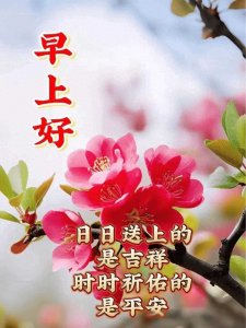 ​新版非常好看的早安图片大全，祝福问候，一切美好！