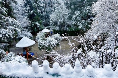 ​#南方多地迎降雪# 冲上热搜 网络掀起“冰雪热”