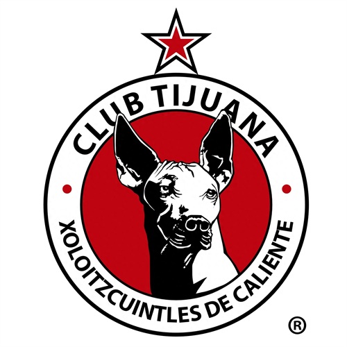 2019-2020墨西哥足球超级联赛队徽欣赏