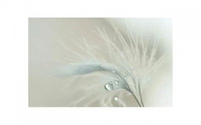 ​向女友道歉的方法有什么 如何对女友道歉有用