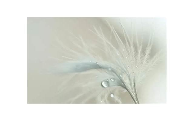 向女友道歉的方法有什么 如何对女友道歉有用 向女友道歉的方法有什么 如何对女友道歉有用