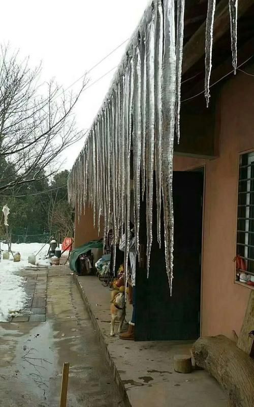 中国冰灾是哪年