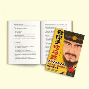 ​老谋子司马懿，等走曹操、等死诸葛亮，等成三国大赢家！