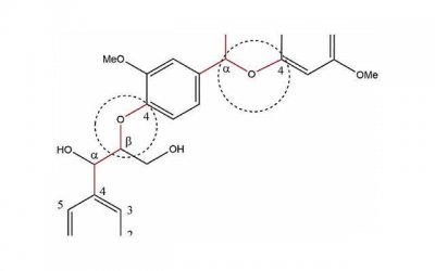​内向的人如何变外向(内向的人怎么变外向的)