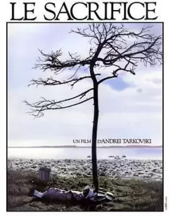 瑞典高分电影有哪些好看的（盘点瑞典评分最高的39部电影）