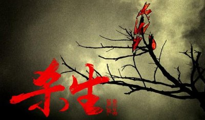 ​盘点口碑超赞的十部高分电影（不要错过的好电影系列）