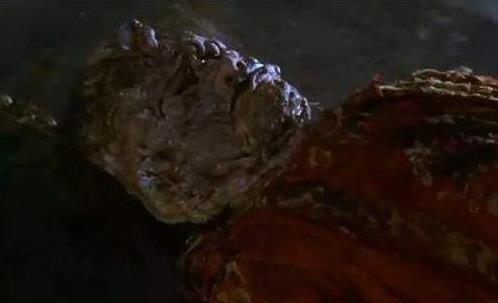 关于茅山道术的电影 早期经典恐怖片