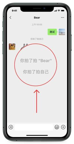 微信上线拍一拍功能教程（微信拍一拍功能怎么用）