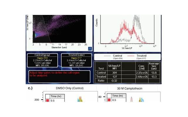 了解一次性壮阳土的方法，介绍三种快速壮阳方法