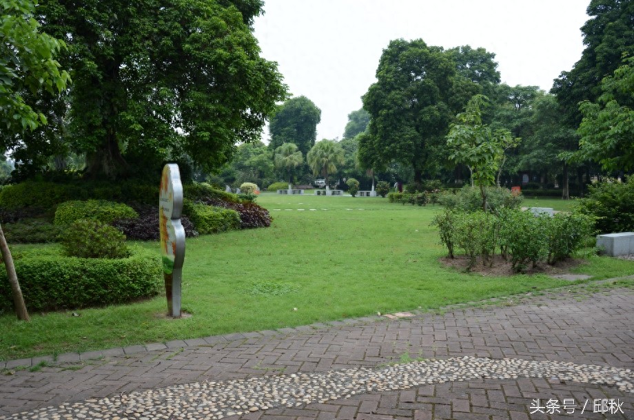 东莞水乡——道滘镇景色（又是满满回忆啊）