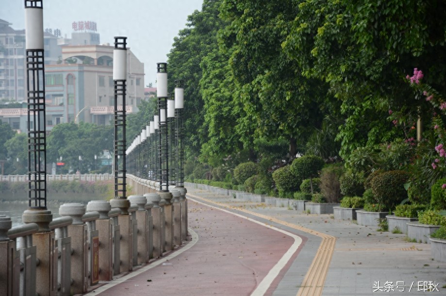 东莞水乡——道滘镇景色（又是满满回忆啊）