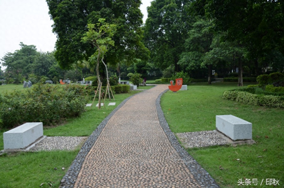 东莞水乡——道滘镇景色（又是满满回忆啊）