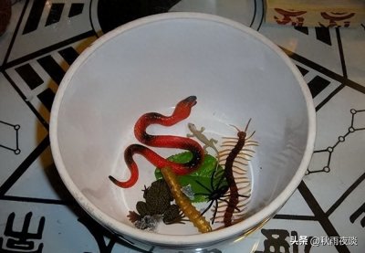 ​蛊术：神秘恐怖的禁忌之道