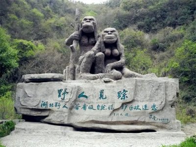 ​神秘生物背后的迷雾——揭开神农架野人传说的真相