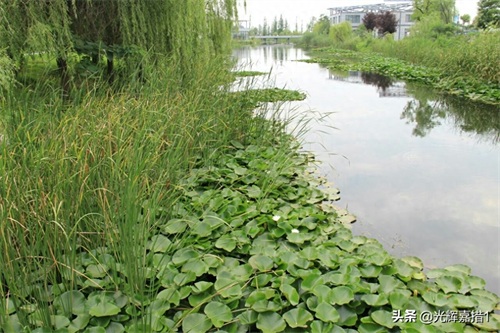 江苏省北部宿迁和新沂间湖泊，骆马湖