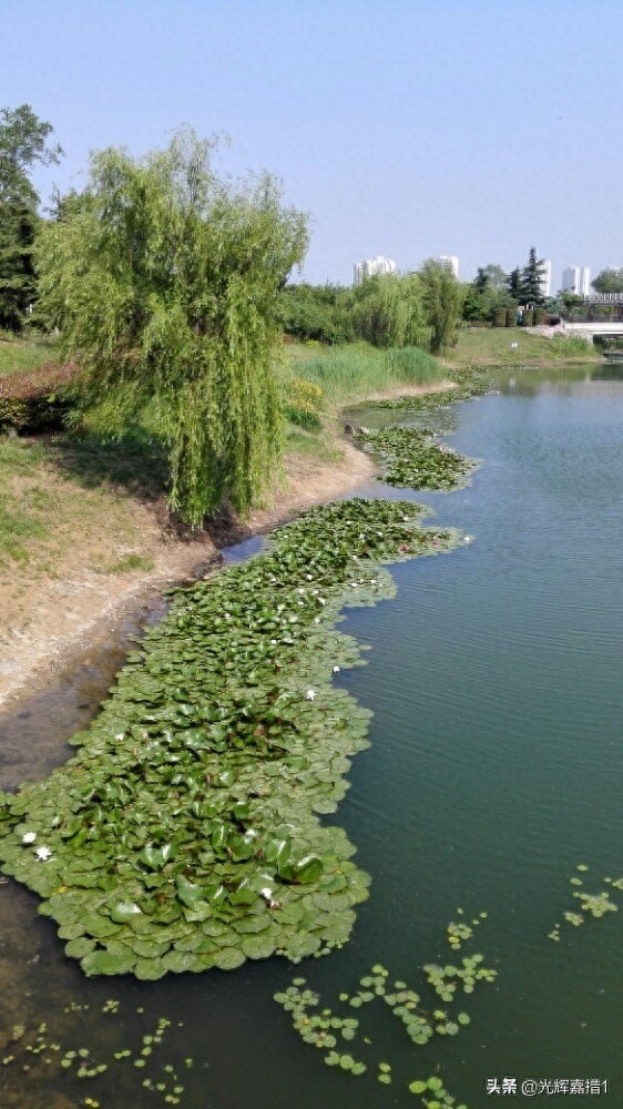 江苏省北部宿迁和新沂间湖泊，骆马湖