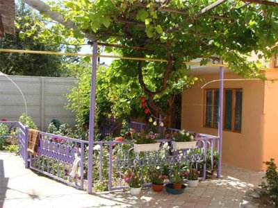 ​50款，带有“最佳布局”的农家小院