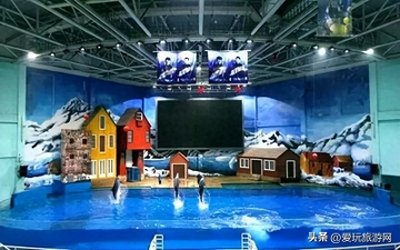 ​西安周边海洋馆有哪些？收藏起来周末去玩