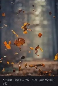 ​当亲人离世时，切莫做亲人的敌人