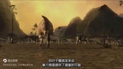 ​潮汐龙，重达45吨左右，在这条河里隐藏着一些鳄鱼，以及...