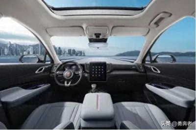 买红旗汽车的都是大冤种吗？