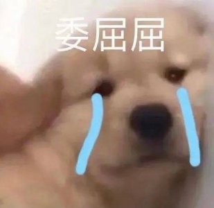 ​委屈巴巴哭泣表情包