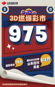 ​3D燃爆彩市！山东单期狂揽813万元奖金！返奖率达176%