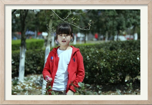 小羽毛小时候照片系列