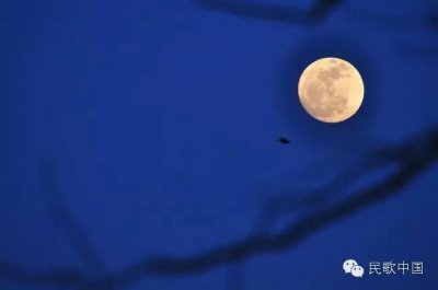 好歌分享 | 陈思思《阵地月光》（马赛作词 印倩文作曲）