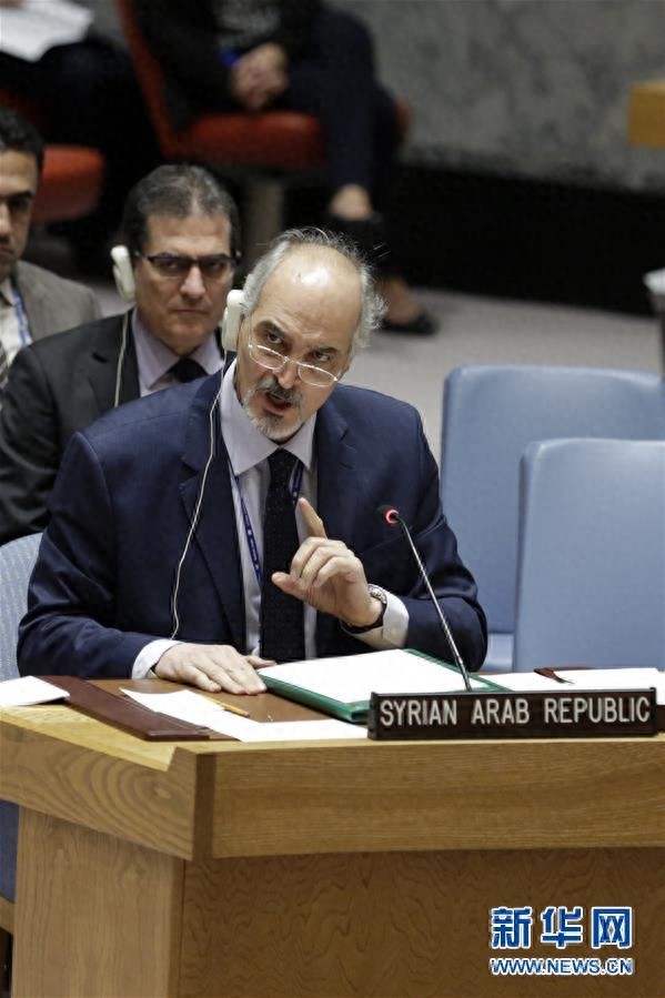 安理会通过叙利亚全境停火决议