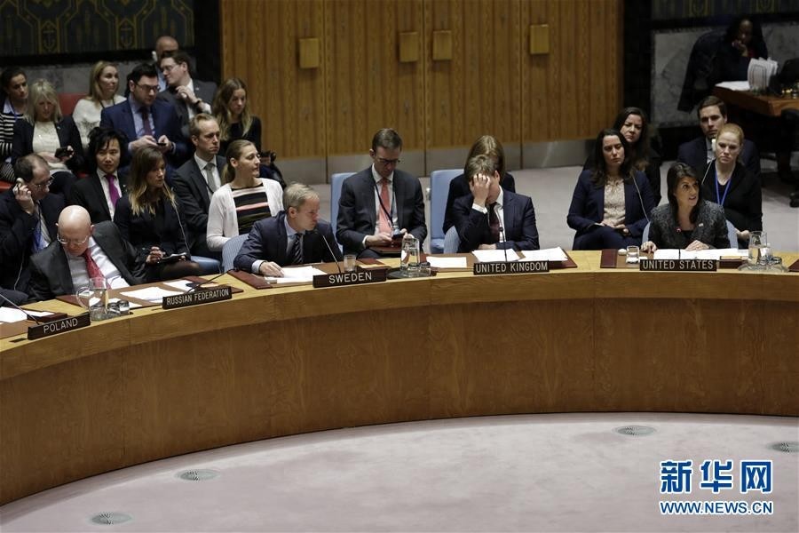 安理会通过叙利亚全境停火决议
