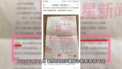 ​翟欣欣案检方建议量刑10年以上