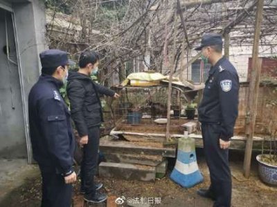 ​气愤！花20元买入猫头鹰 转手650元卖出