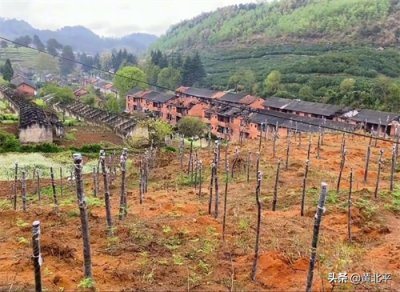 ​贵州省贵定县深山里废弃的兵工厂，就剩下几位老人在坚守